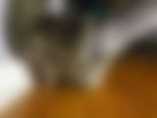 EdgeWuff's Live Sex Cam Show