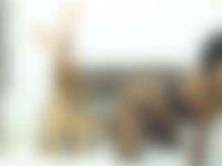 Live cam show with zule-jhonson - Ass Clapping on Uber Horny