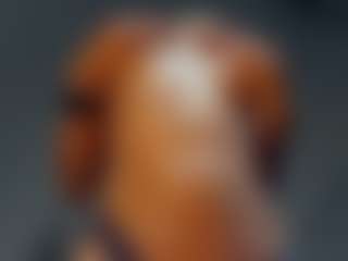 RebecaDepietro's Live Sex Cam Show