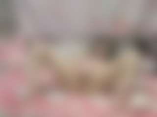 Live cam show with Camila - New Sexwebcam on CamSodaAdn