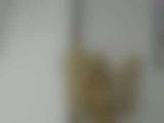 Show in cam erotica live di Dollface14