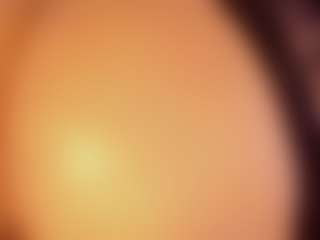 Nina Vega's Live Sex Cam Show
