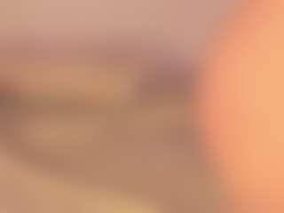 Nina Vega's Live Sex Cam Show