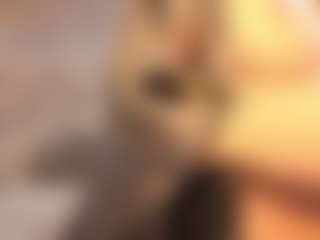 alexandranoxx's Live Sex Cam Show