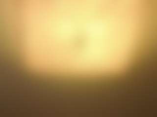 EneidaRosboril's Live Sex Cam Show