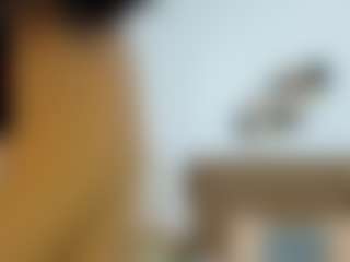 sweet-dannix's Live Sex Cam Show