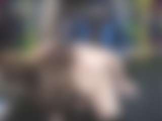 molliestmay's Live Sex Cam Show