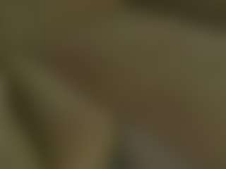 AnnitaShadd's Live Sex Cam Show