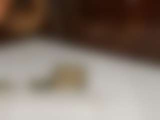 amelia-13's Live Sex Cam Show