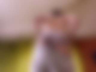 LyndsayDazzi's Live Sex Cam Show