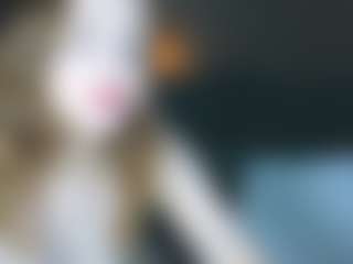 henny-cs's Live Sex Cam Show