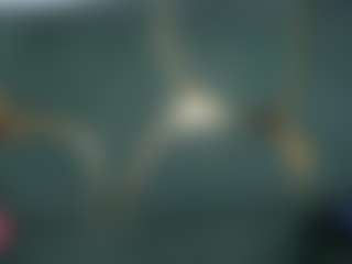 Live cam show with isabela - Brutal on Camiplay Live