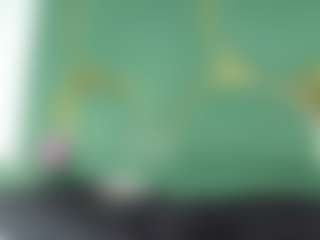 Live cam show with isabela - Bear on Dolls Live