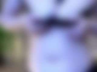 VIKI's Live Sex Cam Show