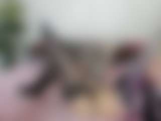 Live cam show with MonroSugar - Bikini on Cam Slut