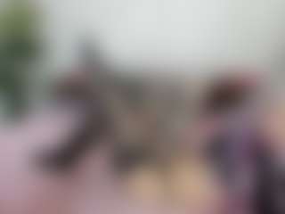 MonroSugar's Live Sex Cam Show