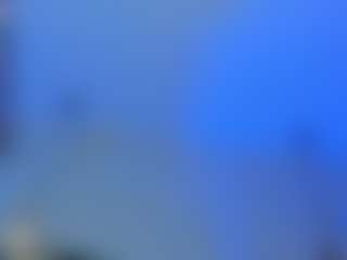 Sasha-Wolff's Live Sex Cam Show