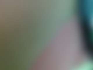 Liarouse04
