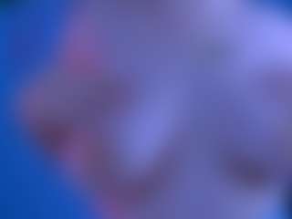 linda-lynx's Live Sex Cam Show