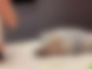 SheraBerret's Live Sex Cam Show