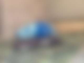 Ariel's Live Sex Cam Show