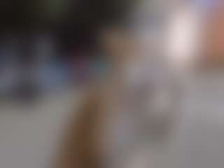 MyrtaFilkins's Live Sex Cam Show