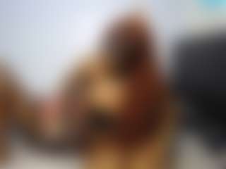 DarkAngleXylographer's Live Sex Cam Show