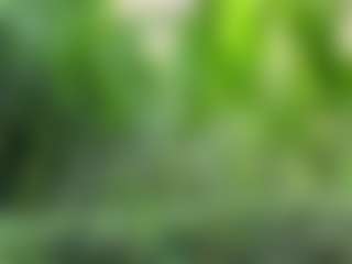 LigiaFedel's Live Sex Cam Show