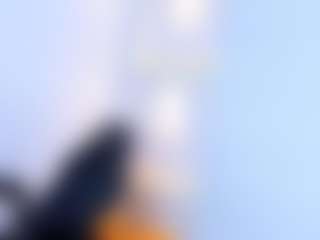 Samantha-Ryann's Live Sex Cam Show