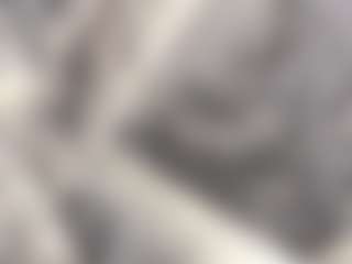 AriannaAustin's Live Sex Cam Show