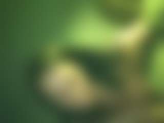 Live cam show with GemRoom - New White on nudelive.tv