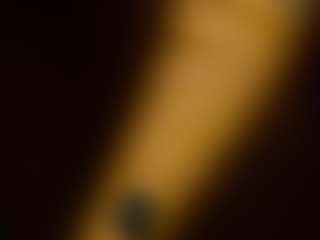 Aliceloveah's Live Sex Cam Show