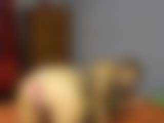 mistressofdesir's Live Sex Cam Show