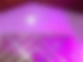 Milany-cute's Live Sex Cam Show