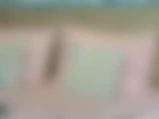 Dakotta's Live Sex Cam Show