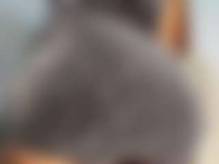 KatieBoisson's Live Sex Cam Show