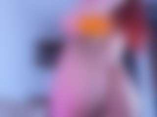 Live-Cam-Show mit Evabluntt - Skinny White auf Camsoda | colombia