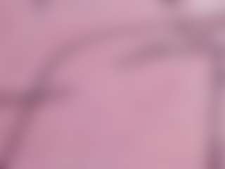 Vicky1812Life's Live Sex Cam Show