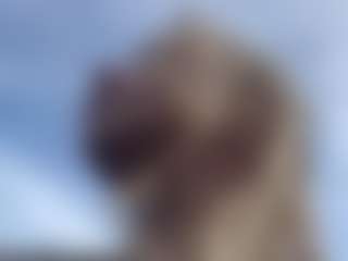 WinnieWhimsical's Live Sex Cam Show