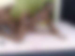 Kiara and Mia's Live Sex Cam Show