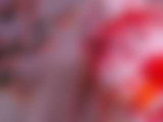 Woooobble's Live Sex Cam Show