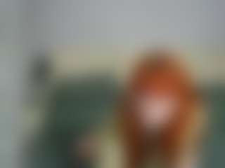 Stella's Live Sex Cam Show