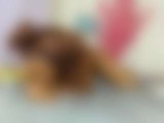 Sweetooth2