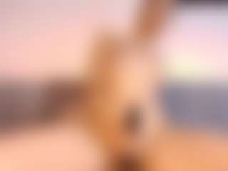 Abaylinares's Live Sex Cam Show
