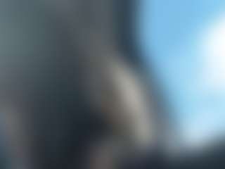 LushDiamonds's Live Sex Cam Show