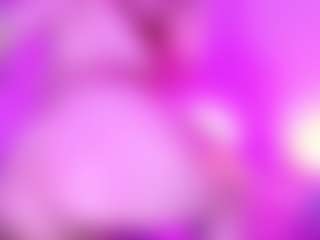 Laia_xprice
