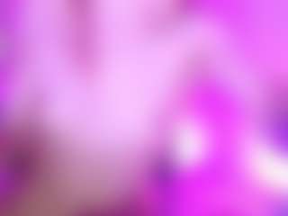 Laia_xprice