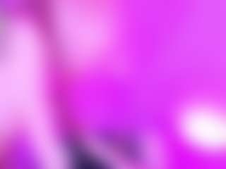 Laia_xprice