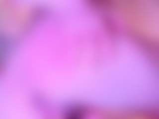 Laia_xprice