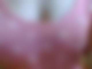satoryman's Live Sex Cam Show